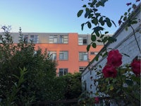 a pink building with a rose in front of it