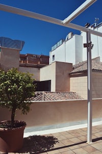 a balcony with a potted plant